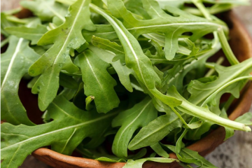 cestino di rucola