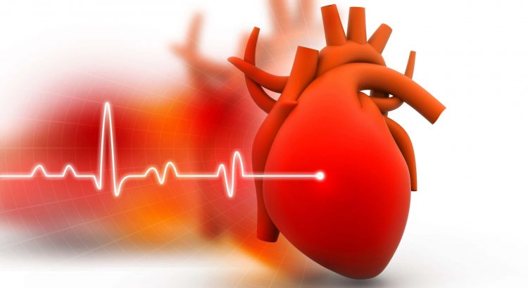 scompenso cardiaco - cuore